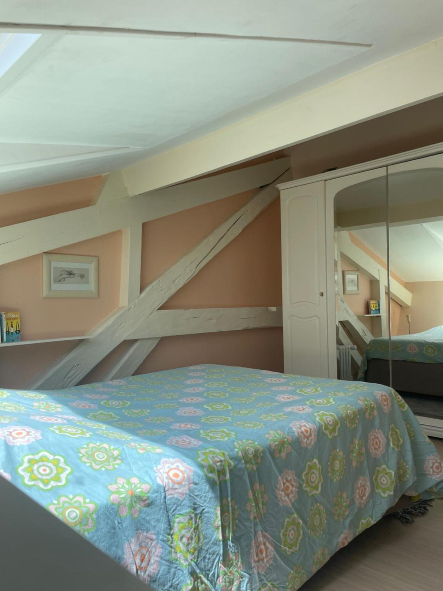Rare 2 Bedroom With Private On Annecy Apartment